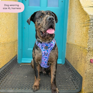 Tough Trails™ Harness - Tiny Diny