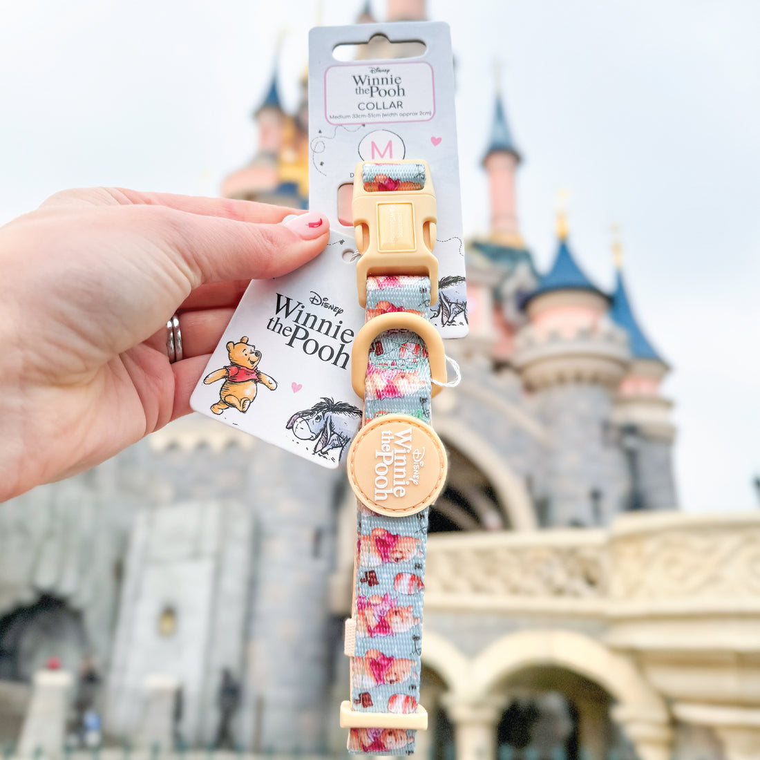 Disney© Collar - Winnie The Pooh