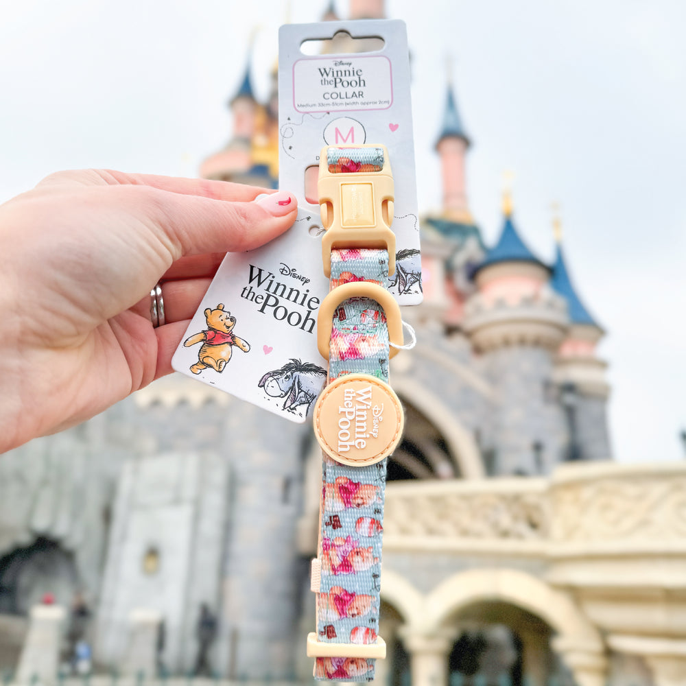 Disney© Collar - Winnie The Pooh