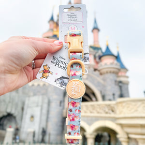 Disney© Collar - Winnie The Pooh
