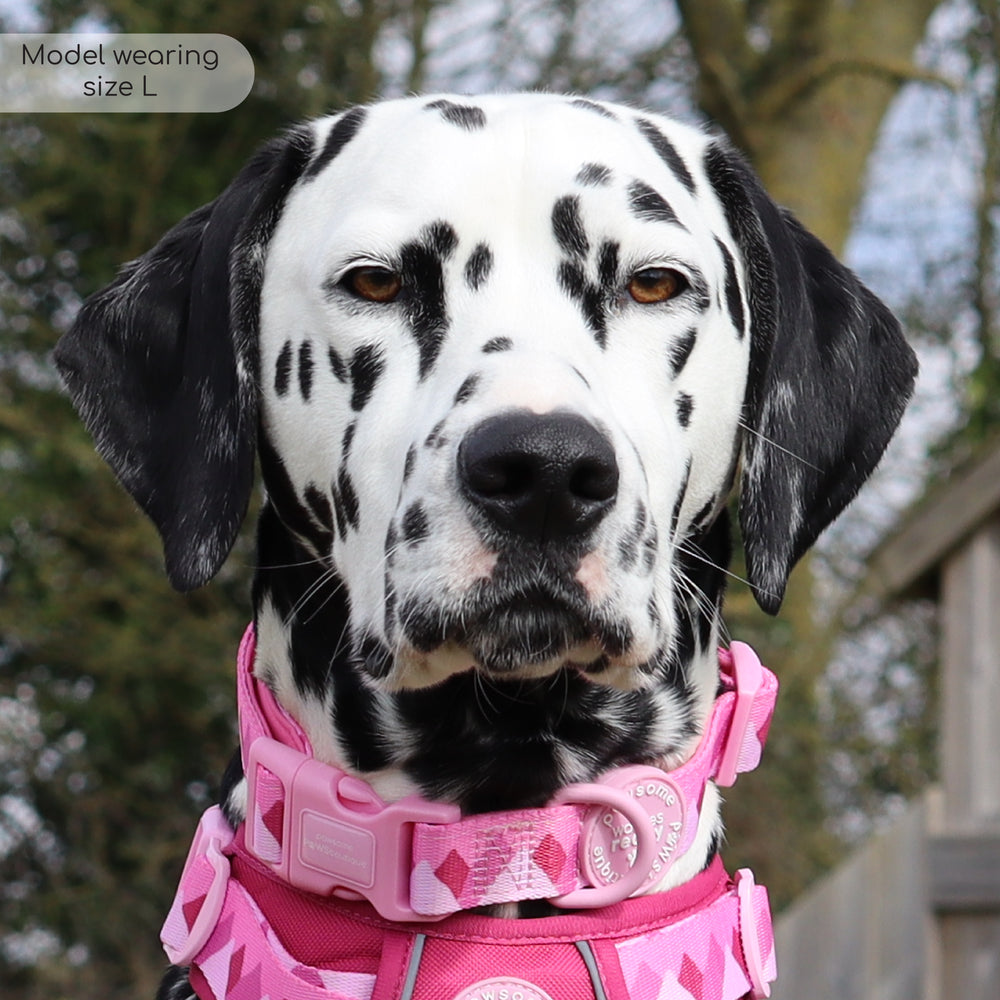 Collar - Walkies Ready® Raspberry Pink