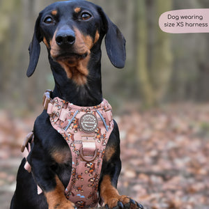 Disney© Tough Trails™ Harness - Slinky