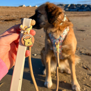 Disney© 4ft Rope Lead - Winnie The Pooh - Beige and Brown