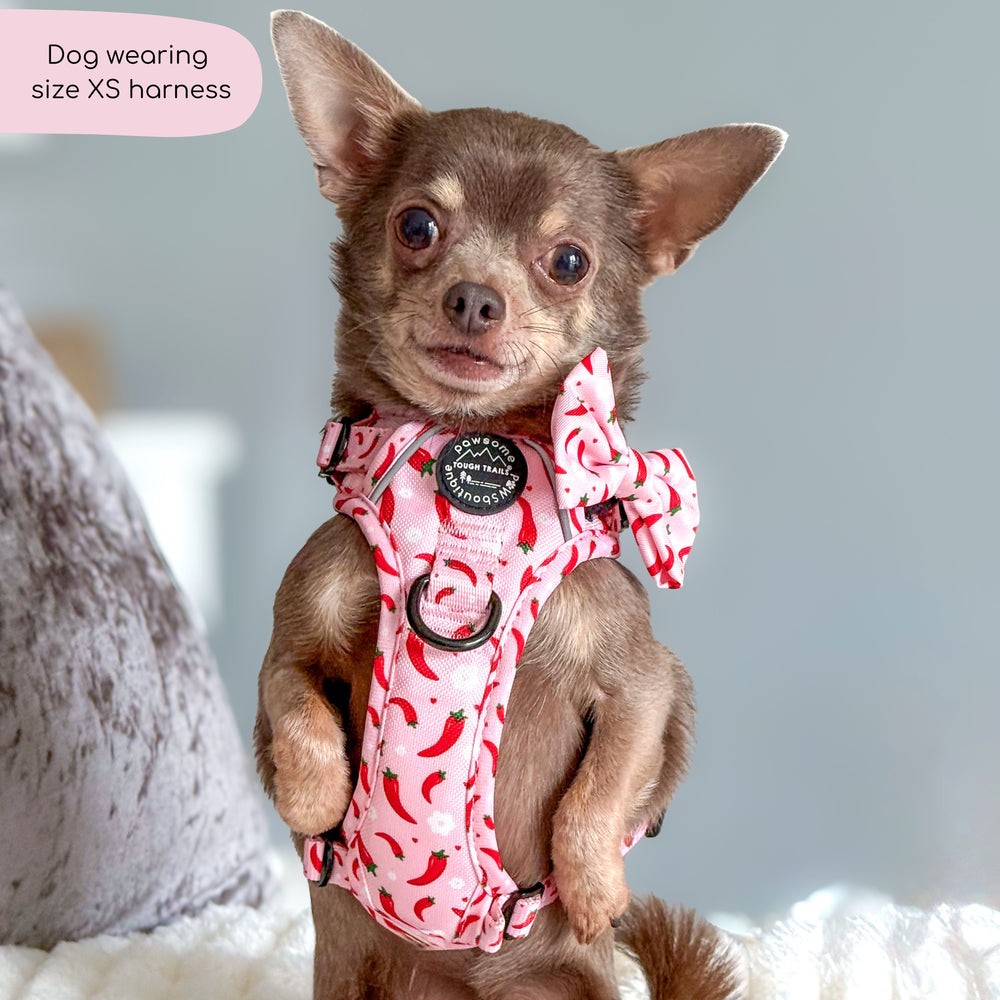 Tough Trails™ Harness - Chilli Dog