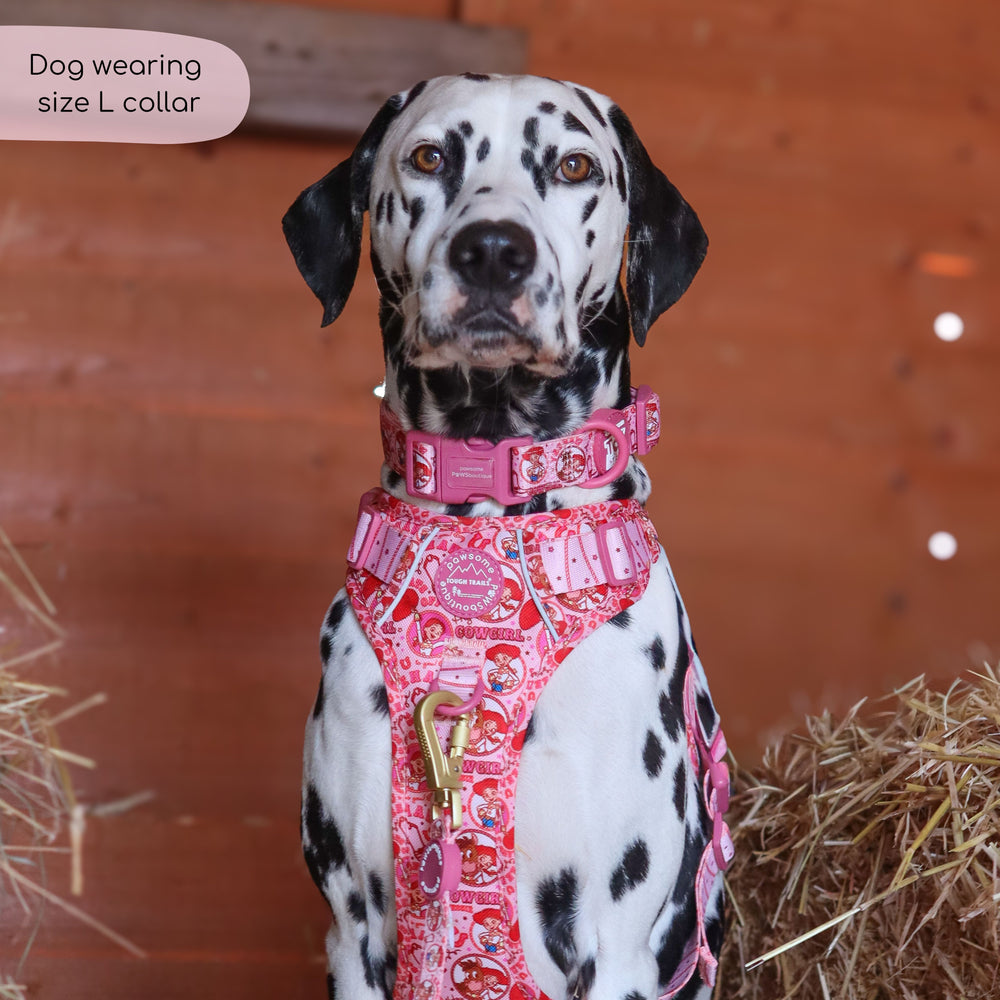 Disney© Collar - Jessie