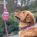 Disney© Collar - Piglet - Pink