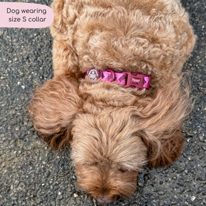 Collar - Walkies Ready® Mulberry