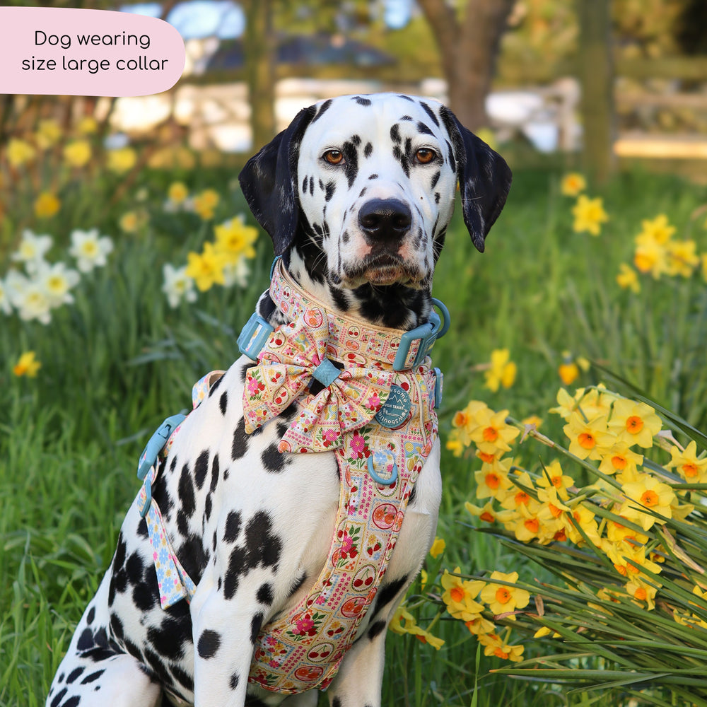 Collar - Summer Vacay