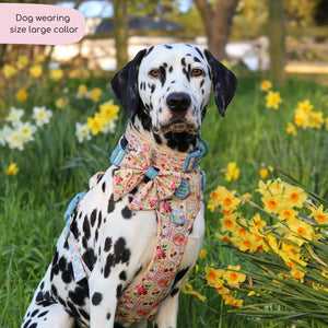 Collar - Summer Vacay