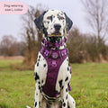 Collar – Walkies Ready® Plum