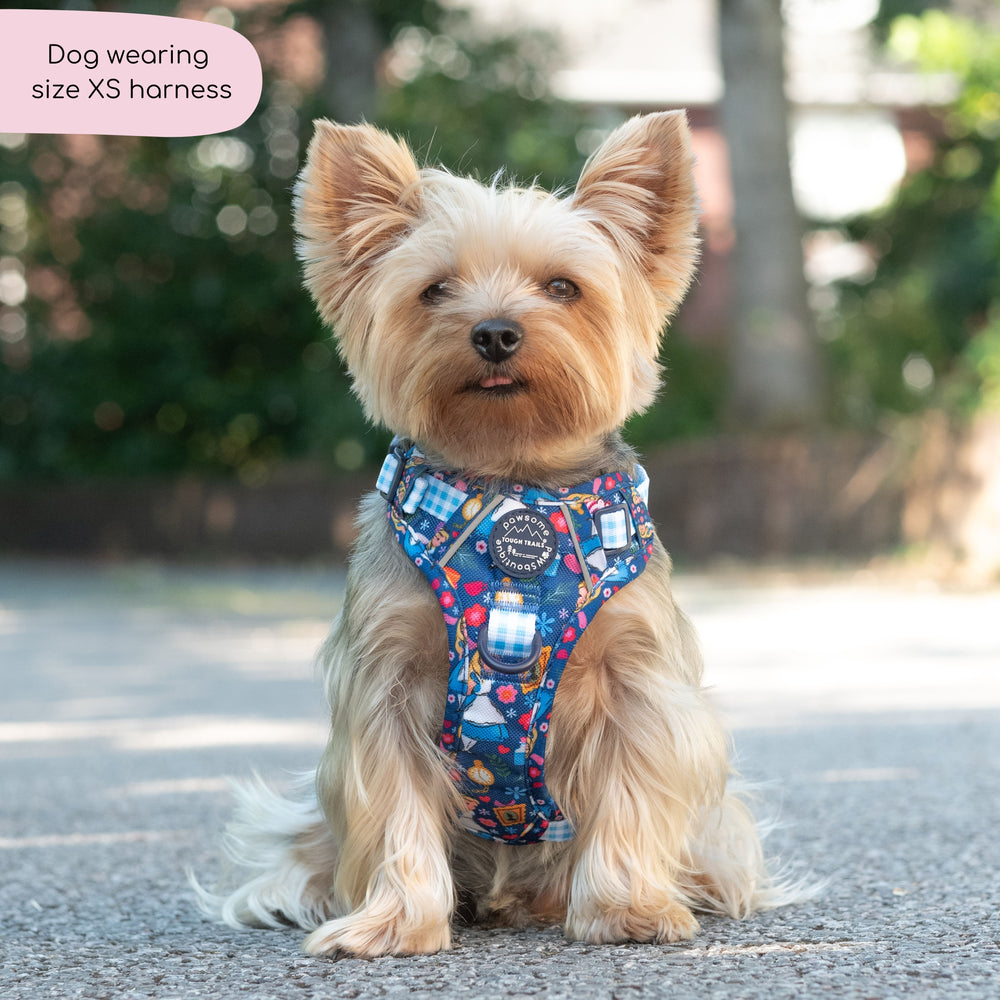Disney© Tough Trails™ Harness - Alice In Wonderland