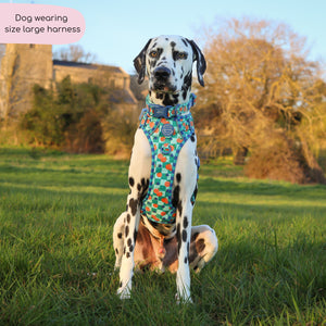 Tough Trails™ Harness -  Fruit Punch