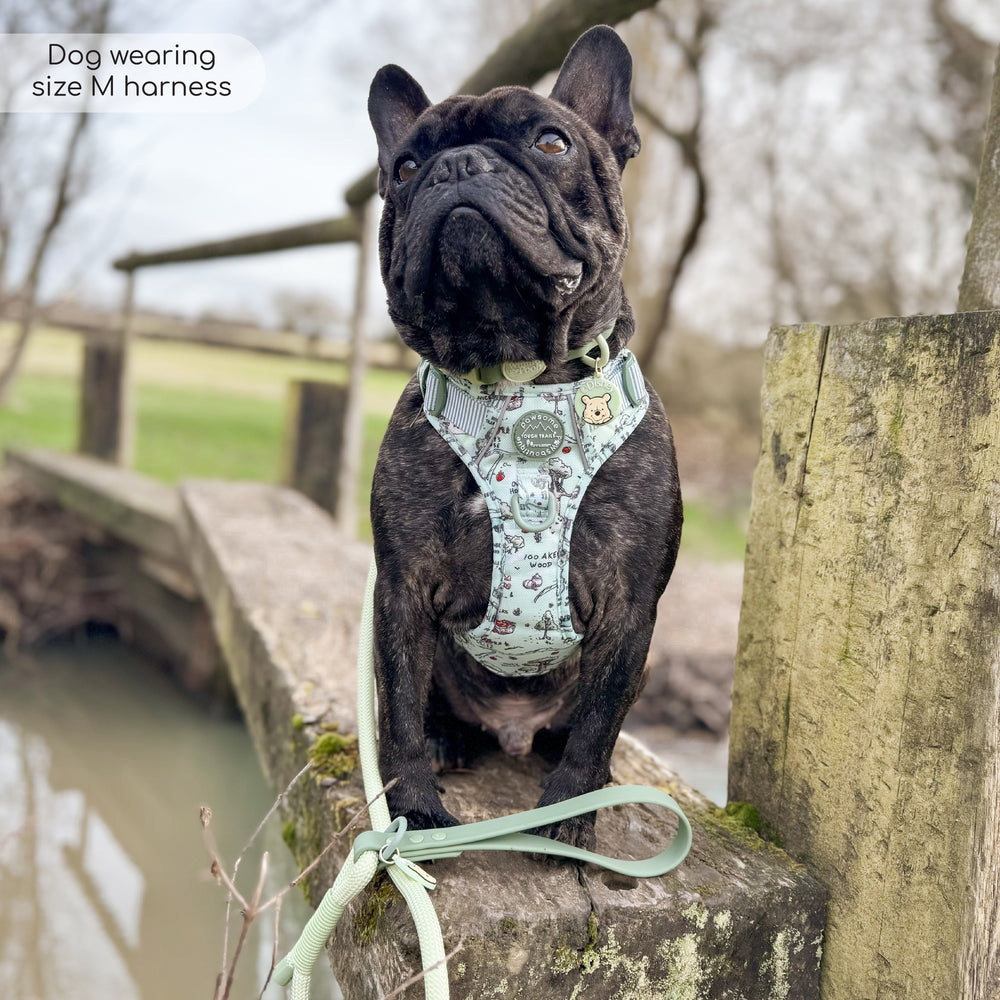 Disney© Tough Trails™ Harness - 100 Aker Wood