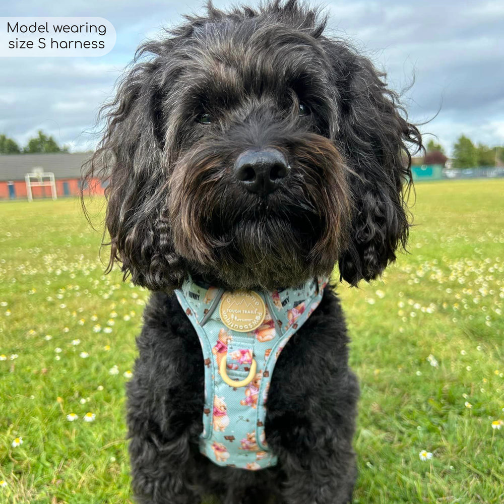 Disney© Tough Trails™ Harness - Winnie The Pooh