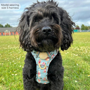 Disney© Tough Trails™ Harness - Winnie The Pooh