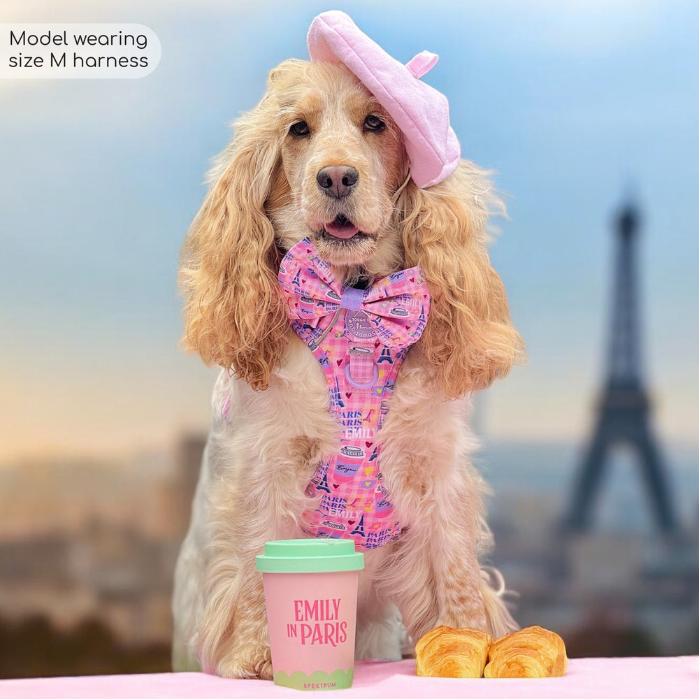 Tough Trails™ Harness - Emily In Paris