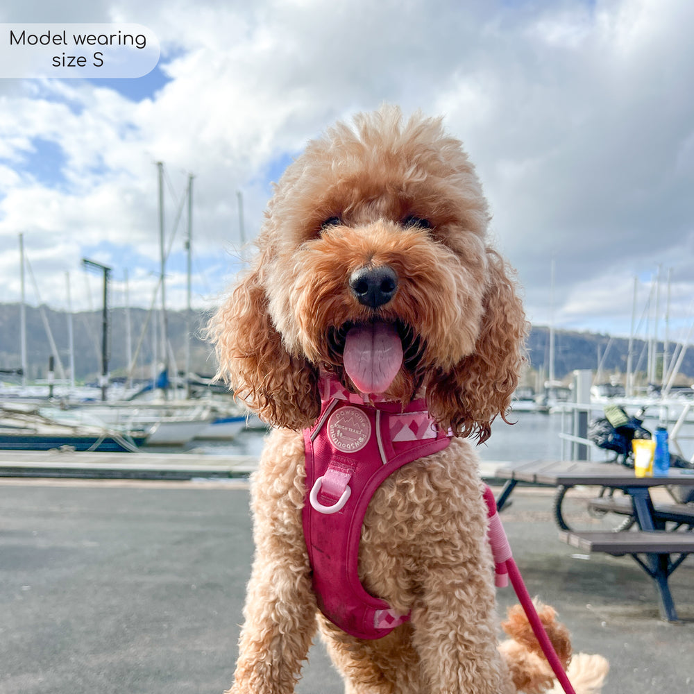 Tough Trails™ Harness - Walkies Ready® Raspberry Pink