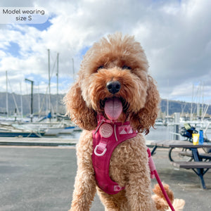 Tough Trails™ Harness - Walkies Ready® Raspberry Pink