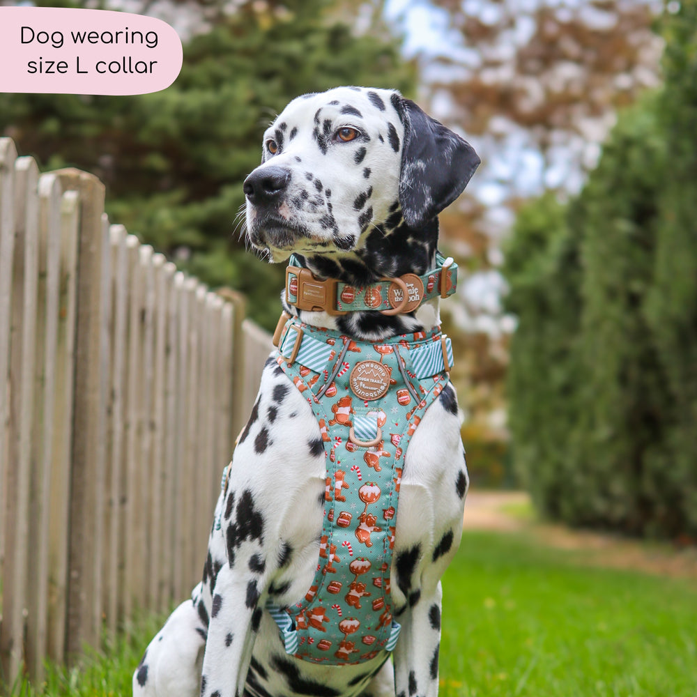 Disney© Collar - Gingerbread Bear Sage