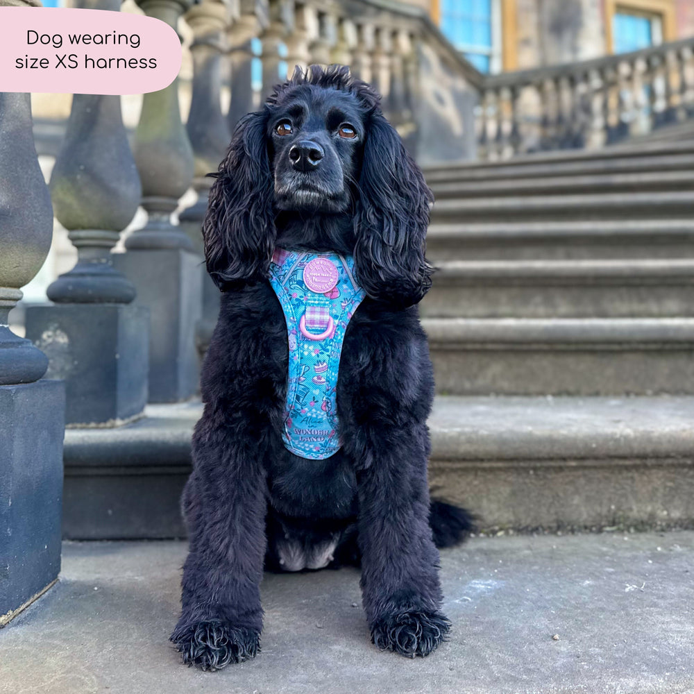 Disney© Tough Trails™ Harness - Mad Hatters Tea Party