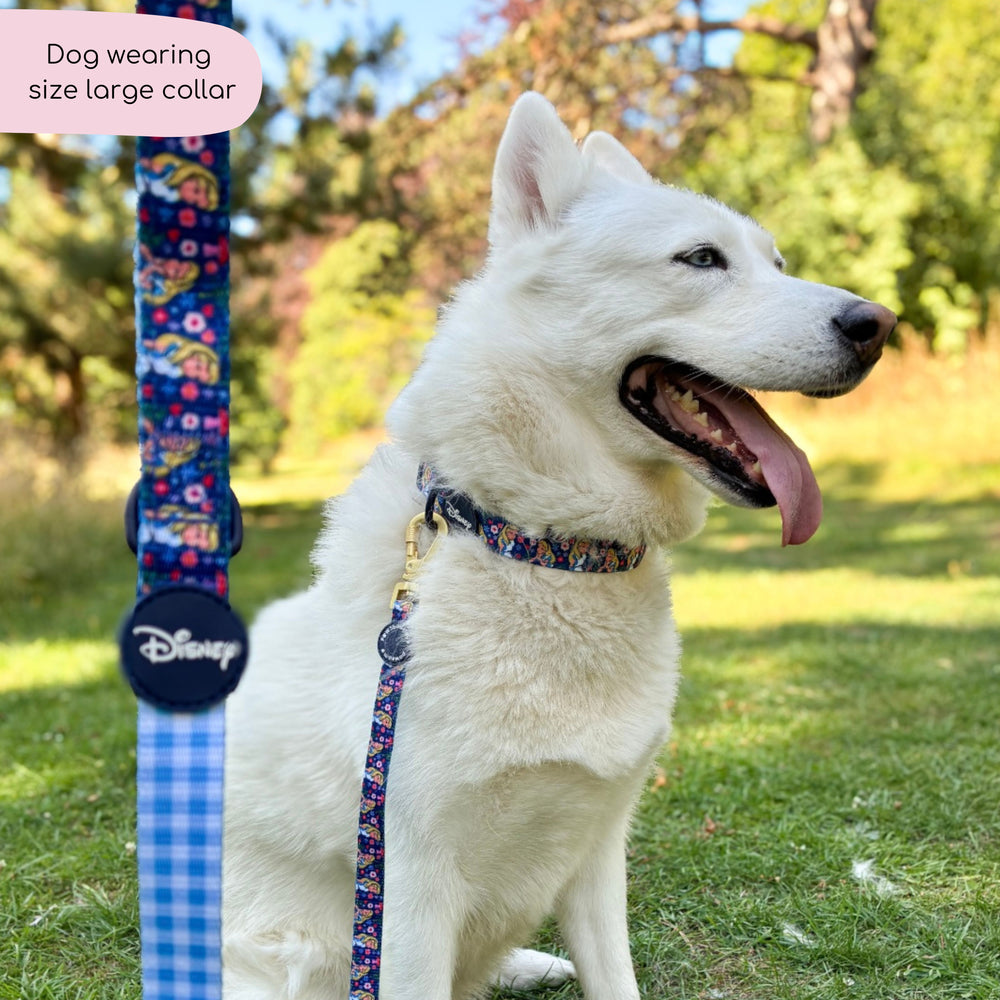 Disney© Collar - Alice In Wonderland