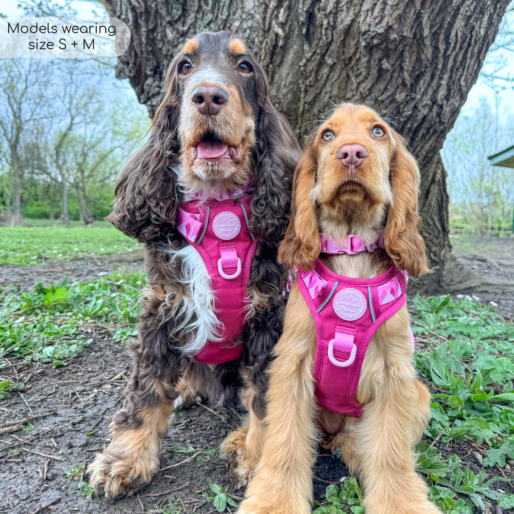 Tough Trails™ Harness - Walkies Ready® Raspberry Pink
