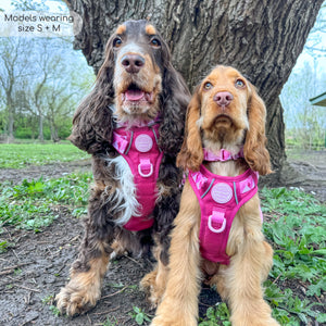 Tough Trails™ Harness - Walkies Ready® Raspberry Pink