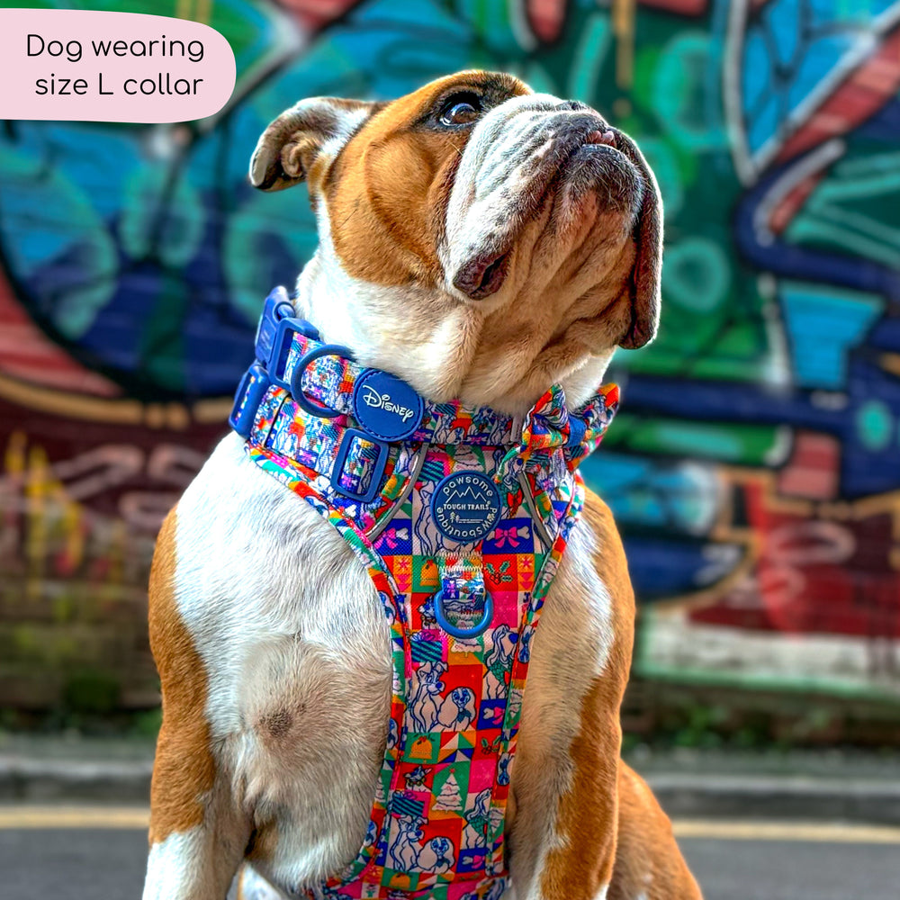 Disney© Collar - Lady + The Tramp