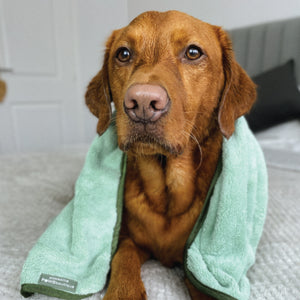 Disney© Microfibre Towel - 100 Aker Wood