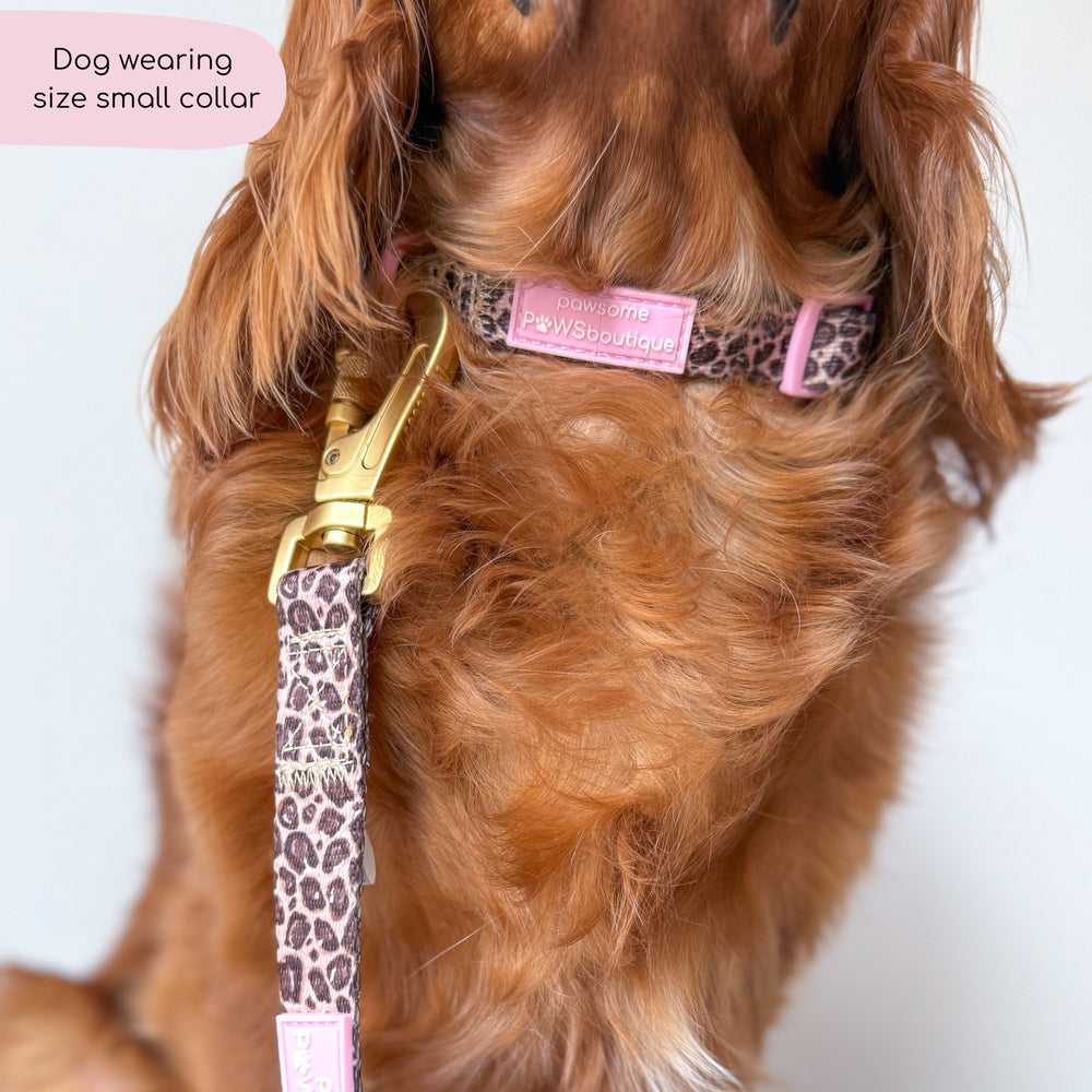 Collar - Leopard Print