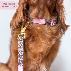 Collar - Leopard Print