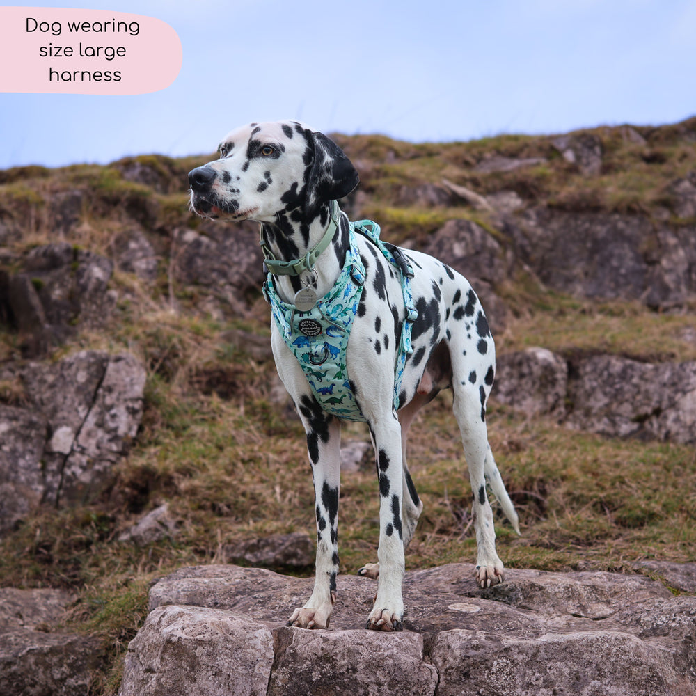 Tough Trails™ Harness - Dinky Dino