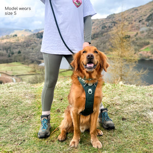 Walkies Ready® Leggings - Olive Green