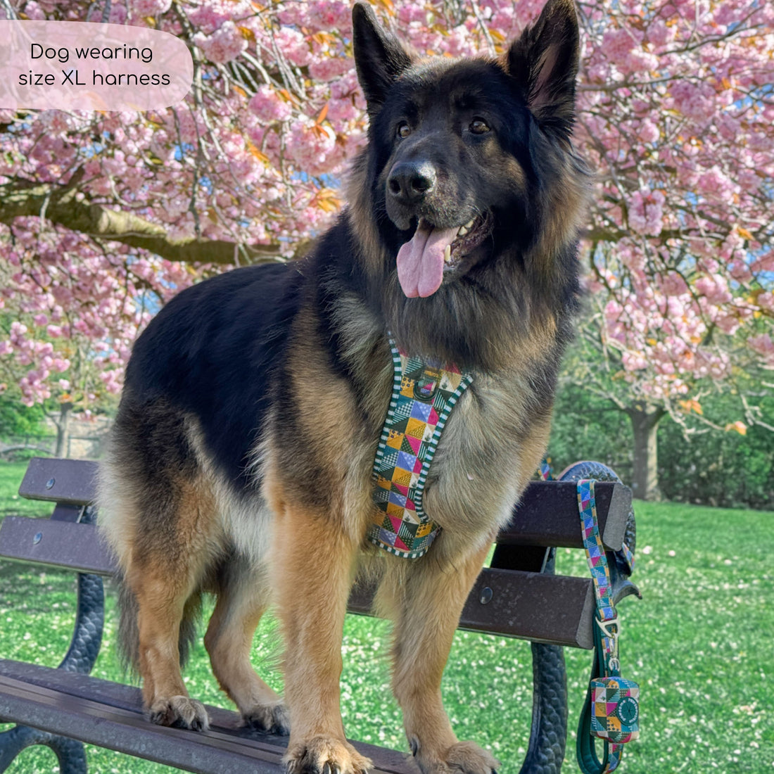 Tough Trails™ Harness -  Patchwork