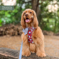 Disney© Tough Trails™ Harness - 101 Dalmatians