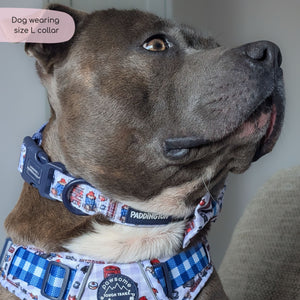 Paddington™ Collar - London