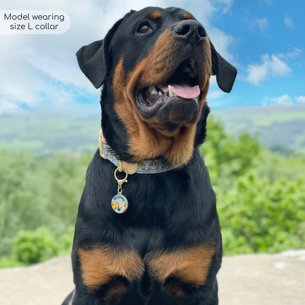 Disney© Collar - Lion Friends