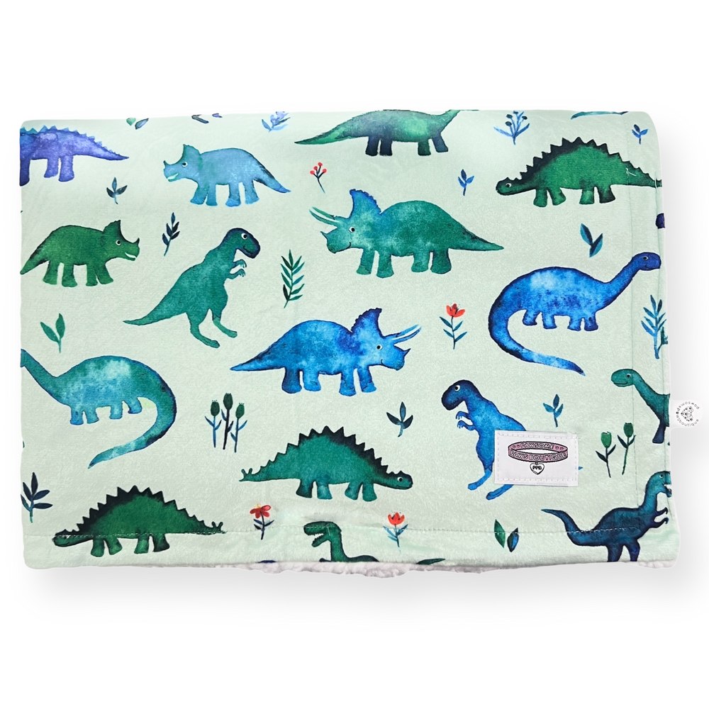 Dog Blanket - Dinky Dino