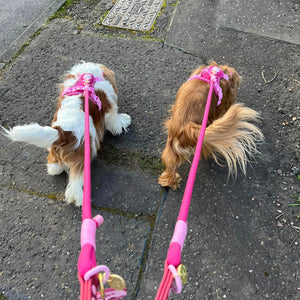 4ft Rope Lead - Walkies Ready® Raspberry Pink