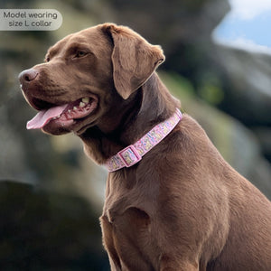 Disney© Collar - Nala