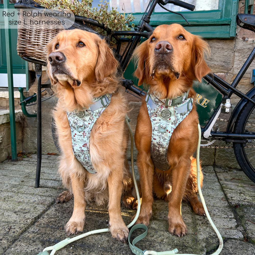 Disney© Tough Trails™ Harness - 100 Aker Wood