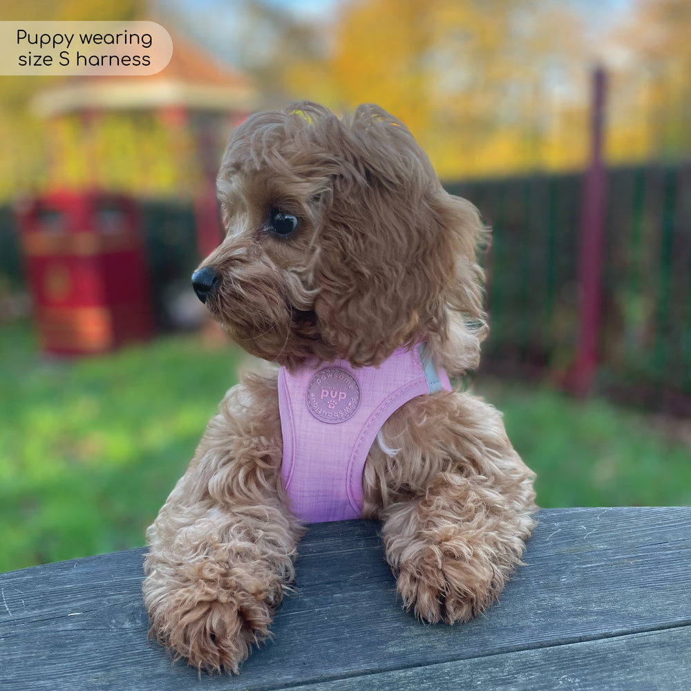 Pawsome Pup Harness - Pink