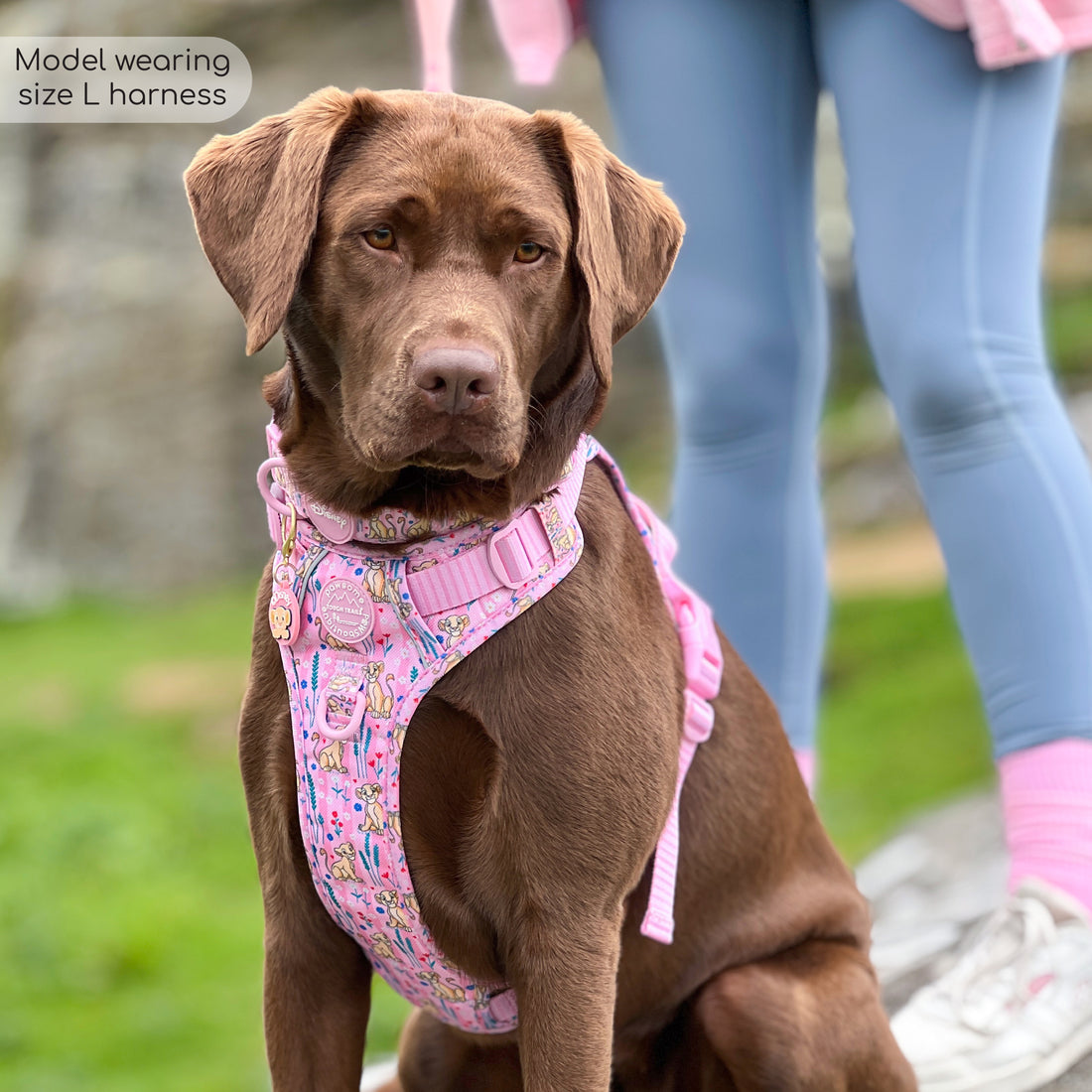 Disney© Tough Trails™ Harness - Nala