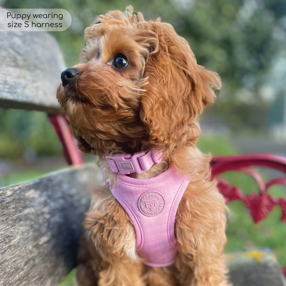Pawsome Pup Harness - Pink