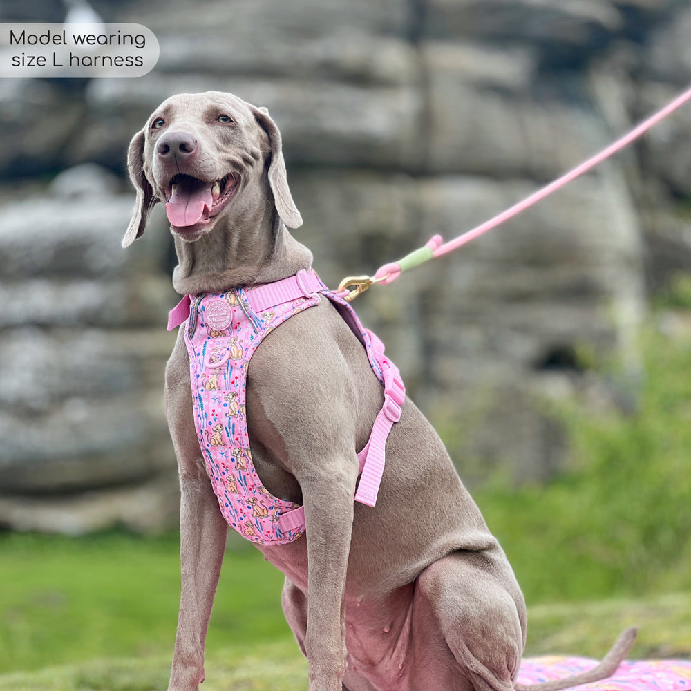 Disney© Tough Trails™ Harness - Nala