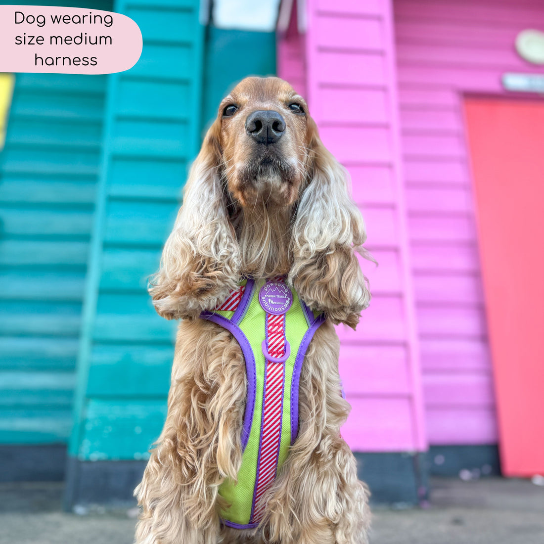 Disney© Tough Trails™ Harness - Buzz Lightyear