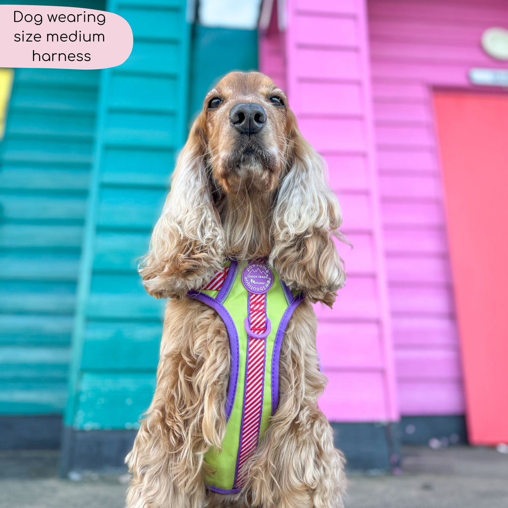 Disney© Tough Trails™ Harness - Buzz Lightyear