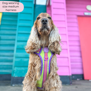 Disney© Tough Trails™ Harness - Buzz Lightyear