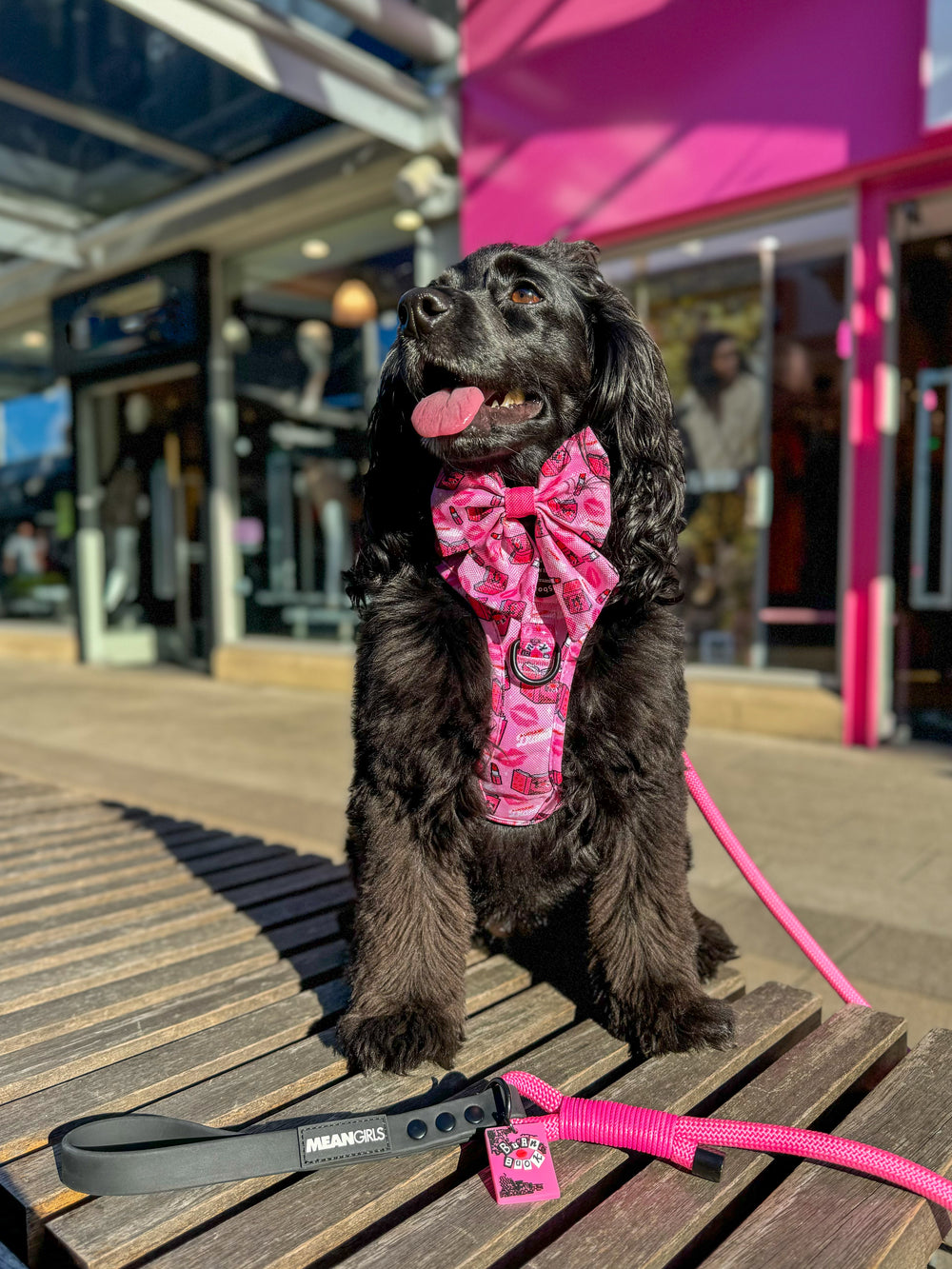 4ft Rope Lead - Mean Girls - Pink and Black