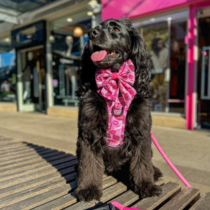 4ft Rope Lead - Mean Girls - Pink and Black